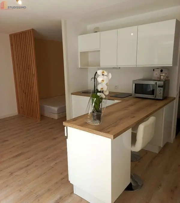 Studio 35m² Saint-Étienne 42100 - Refait à neuf, terrasse - Photo 8