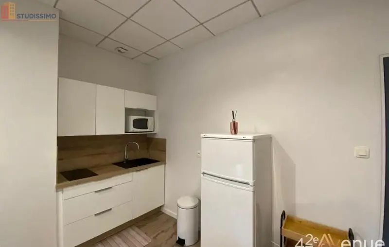 Studio 37m² Saint-Étienne 42000 - Meublé, lumineux - Photo 31