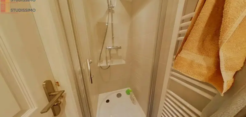 Studio meublé 29m² Saint-Étienne - Meublé, 1er étage - Photo 9