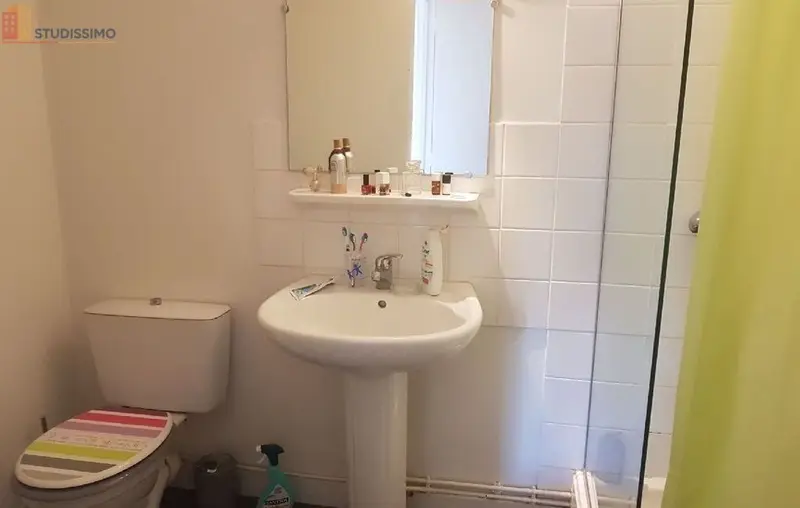 Studio meublé 32m² Roanne - Proche IUT et hôpital - Photo 46