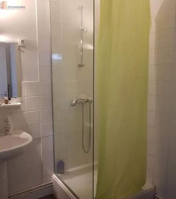 Studio meublé 32m² Roanne - Proche IUT et hôpital - Photo 30