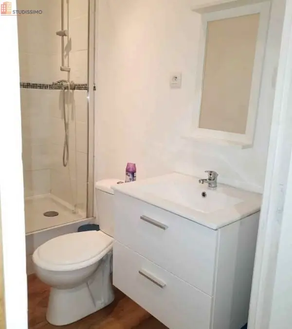 Studio meublé 40m² Saint-Étienne 42100 - Meublé, DPE A - Photo 1