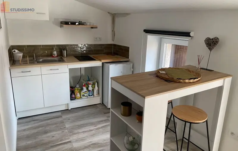 Studio 20m² Saint-Étienne - Rénové, proche Hôtel de Ville - Photo 14