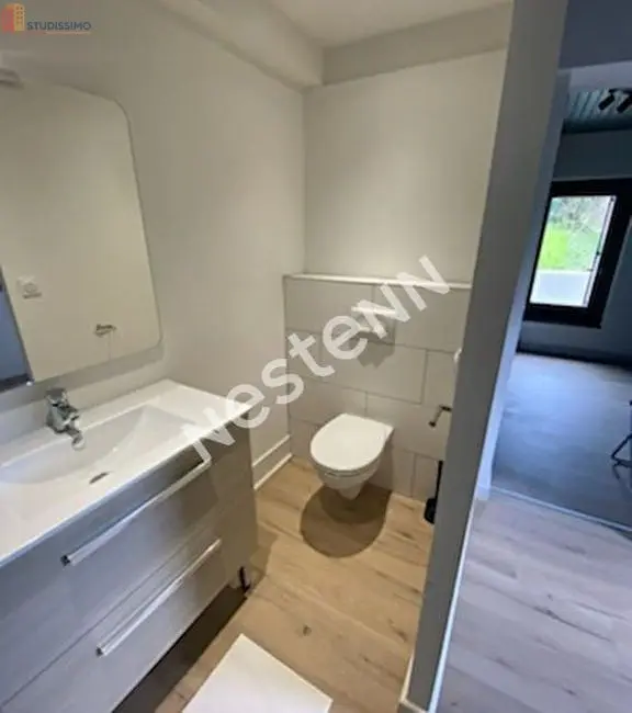 Studio meublé 19m² Yssingeaux - Meublé, DPE D - Photo 1