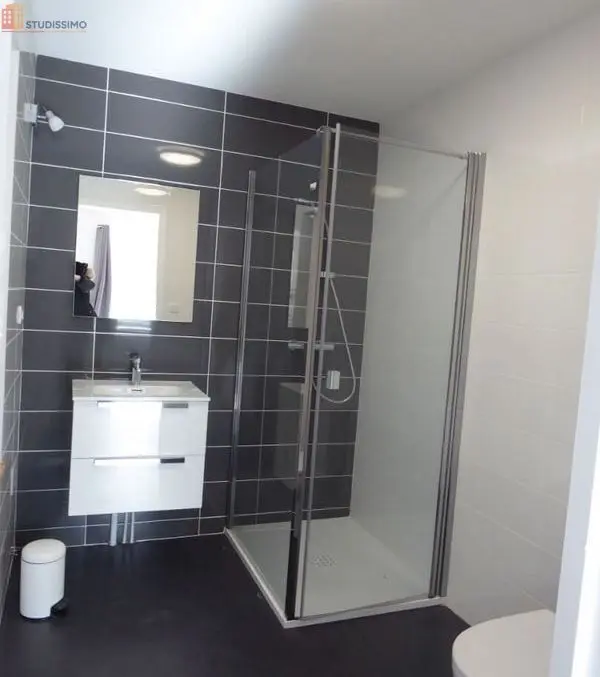 Studio meublé 22m² Yssingeaux - Meublé, DPE C - Photo 95