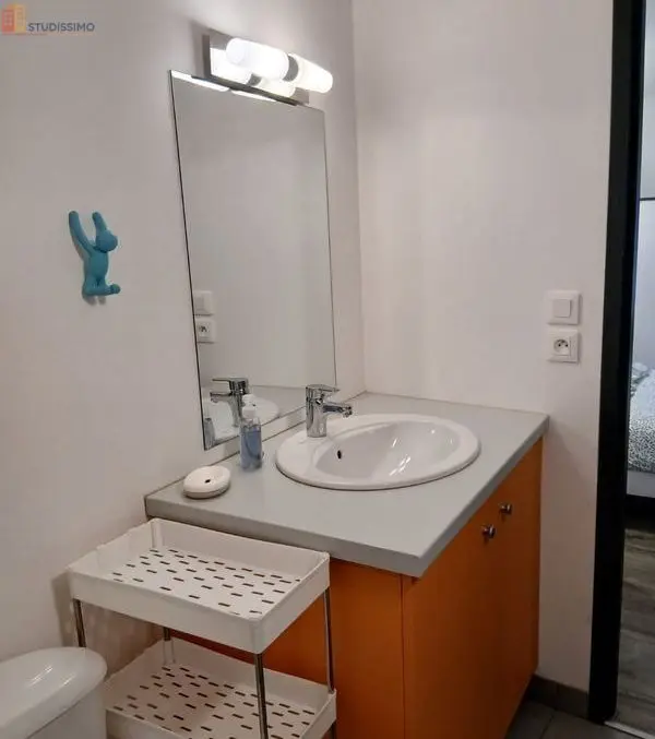 Studio meublé 22m² Yssingeaux - Meublé, 3e étage - Photo 6