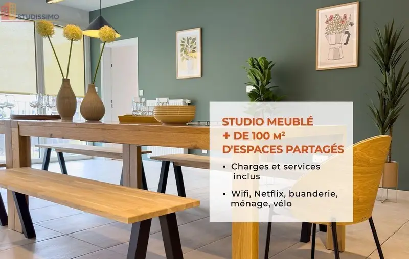 Studio 29m² Nantes 44200 - Meublé, DPE B - Photo 39