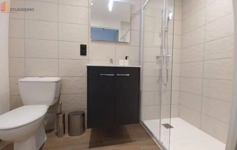 Studio 19m² Orléans - Meublé, DPE C - Photo 13