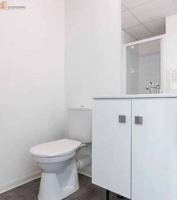 Studio meublé 19m² Nantes centre - Calme, lumineux - Photo 31