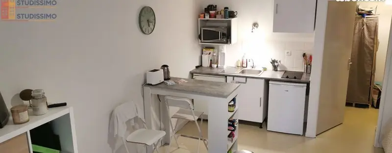 Studio meublé 31m² Nantes 44300 - Garage, lumineux - Photo 1
