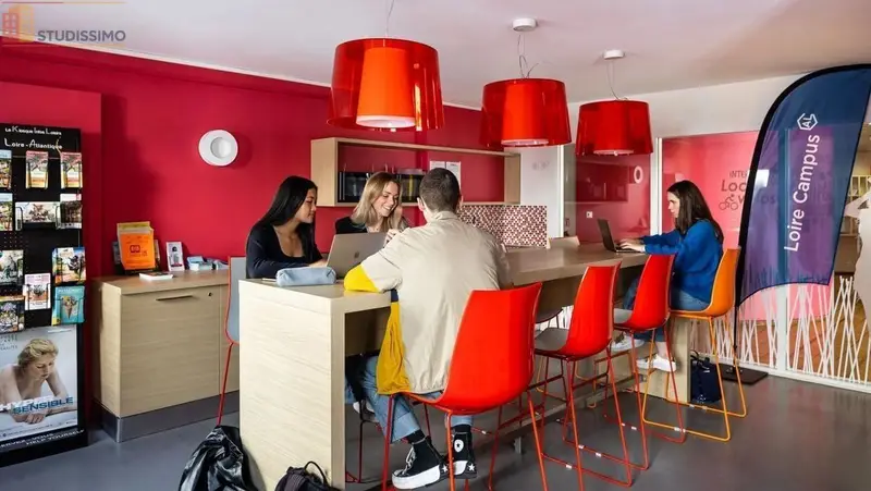 Studio meublé 14m² Nantes 44100 - Étage élevé, lumineux - Photo 4