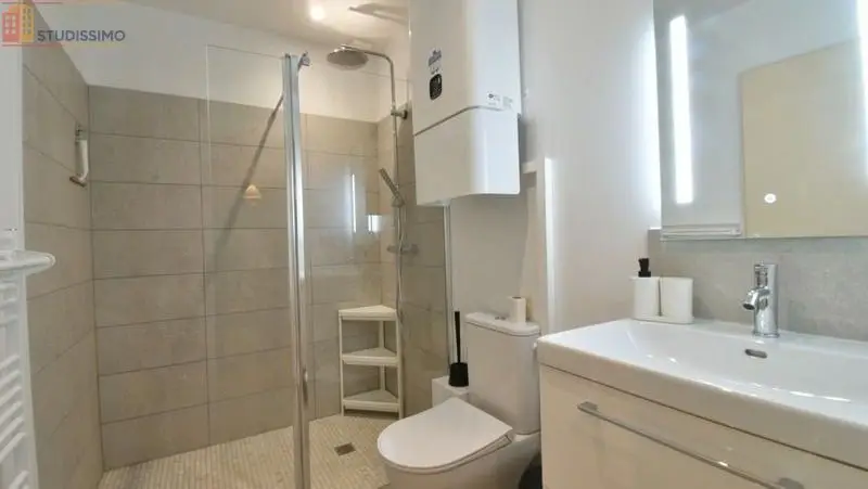 Studio meublé 24m² Sainte-Livrade-sur-Lot - Meublé, DPE C - Photo 3