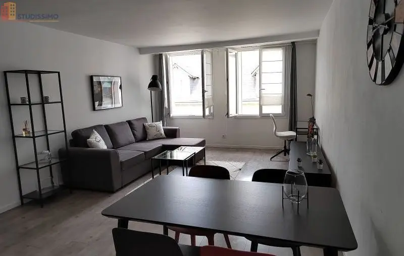 Studio meublé 48m² Orléans centre - Lumineux, 2e étage - Photo 6