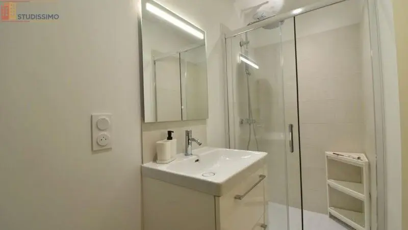 Studio meublé 25m² Sainte-Livrade-sur-Lot - Meublé, DPE C - Photo 1