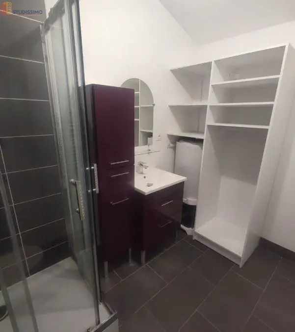 Studio 28m² La Chapelle-Saint-Mesmin - lumineux - Photo 5