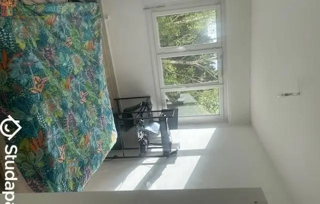 Studio meublé 11m² Nantes 44100 - Meublé, DPE D - Photo 1