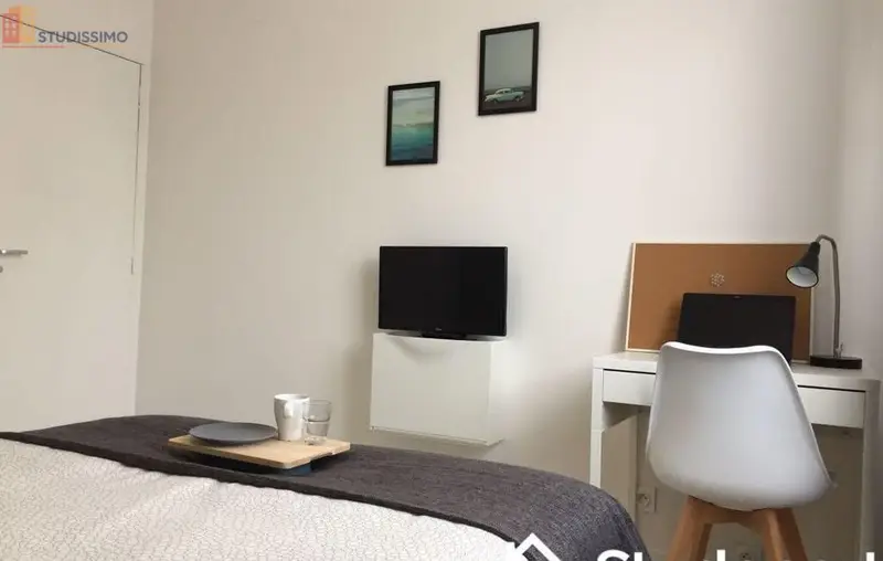 Studio meublé 10m² Nantes 44200 - Meublé, DPE D - Photo 13