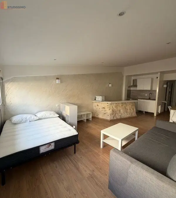 Studio meublé 44m² Agen 47000 - Meublé, DPE C - Photo 1