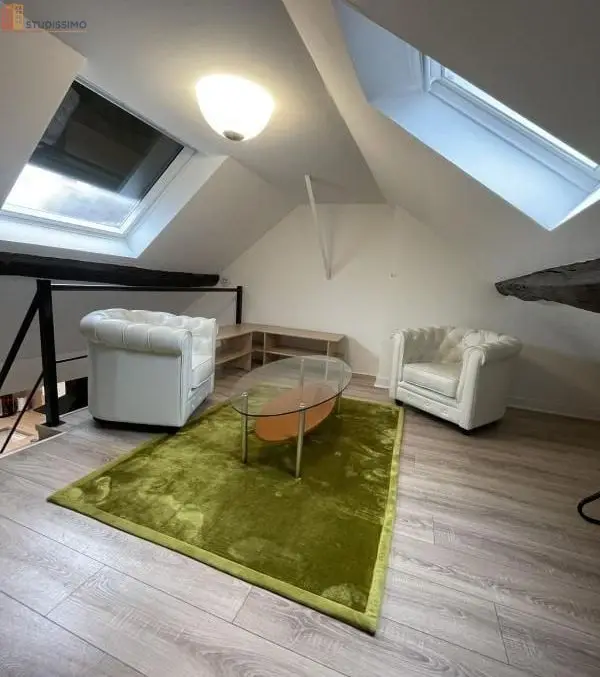Studio meublé 23m² Orléans - Meublé, DPE C - Photo 9