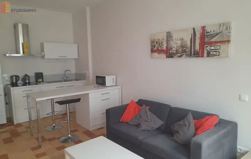 Studio meublé 40m² Nantes centre - Grand, lumineux - Photo 3