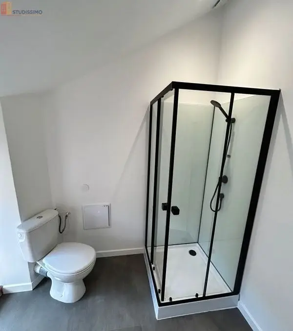 Studio meublé 30m² Langogne - Agréable, cœur de ville - Photo 1