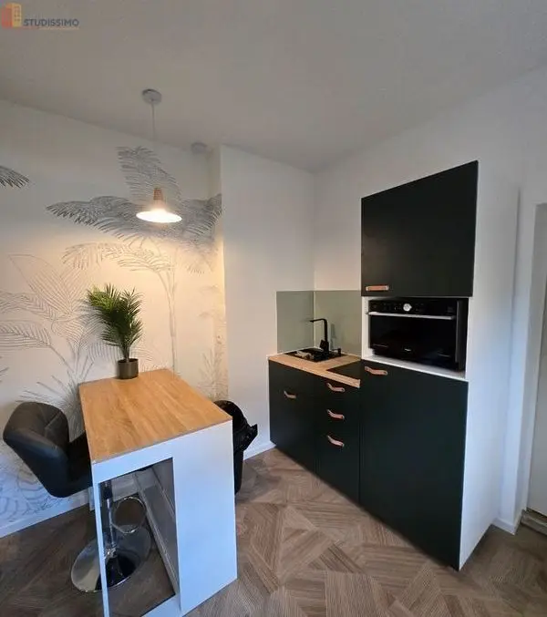 Studio 25m² Fleury-les-Aubrais - Meublé, DPE D - Photo 2