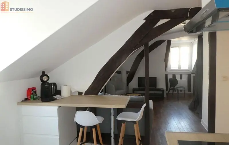 Studio meublé 33m² Orléans 45000 - Meublé, lumineux - Photo 15