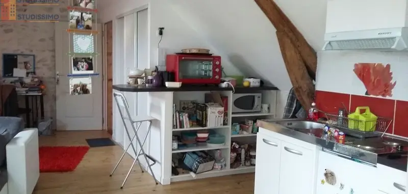Studio meublé 45m² Orléans 45000 - Meublé, lumineux - Photo 3
