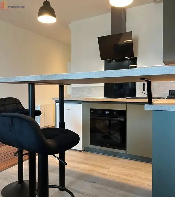Studio meublé 30m² Couffé 44521 - Meublé, DPE D - Photo 45