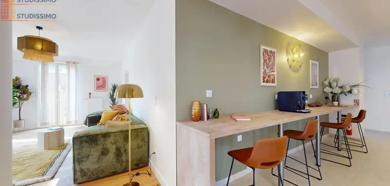 Studio meublé 14m² Nantes 44200 - Lumineux, DPE A - Photo 33