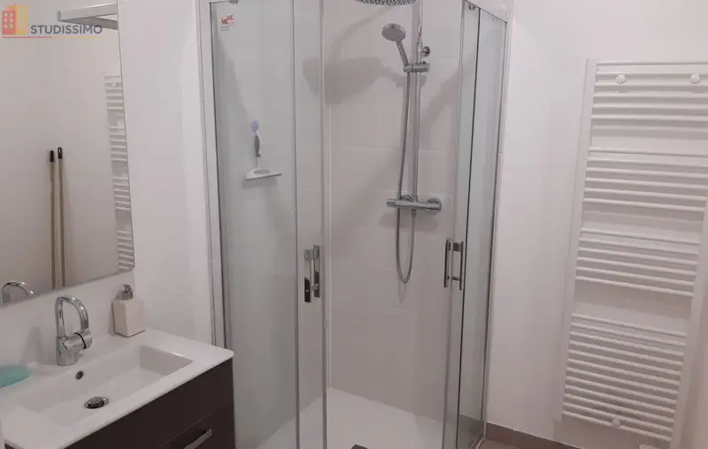 Studio meublé 35m² Châtillon-sur-Loire - Lumineux, centre-ville - Photo 3