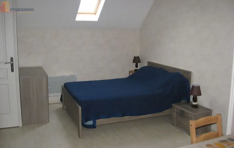 Studio meublé 30m² Pressigny-les-Pins - Meublé, DPE D - Photo 6