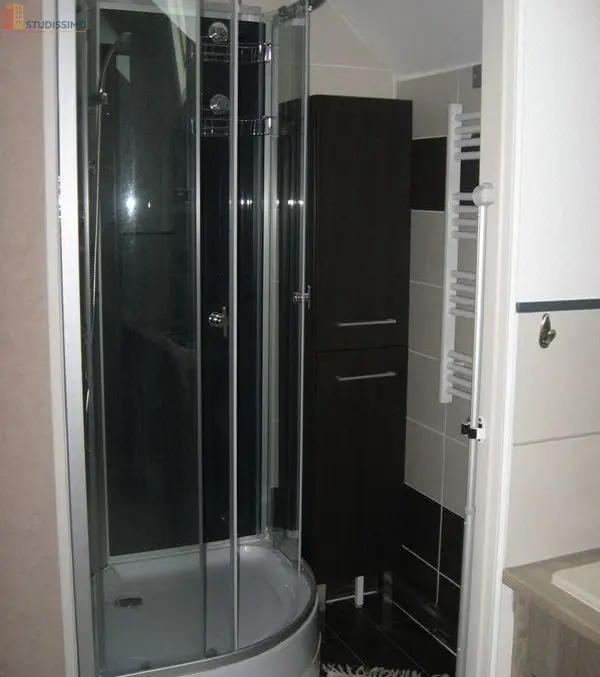 Studio meublé 30m² Pressigny-les-Pins - Meublé, DPE D - Photo 1