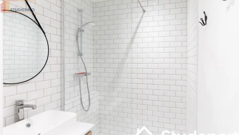Studio meublé 14m² Nantes 44300 - Lumineux, DPE A - Photo 40