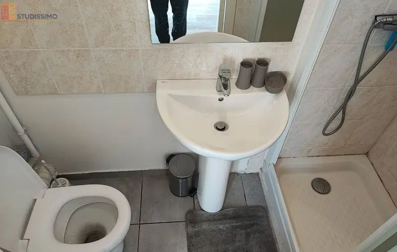 Studio meublé 21m² Ouzouer-sur-Loire - Meublé, 1er étage - Photo 1