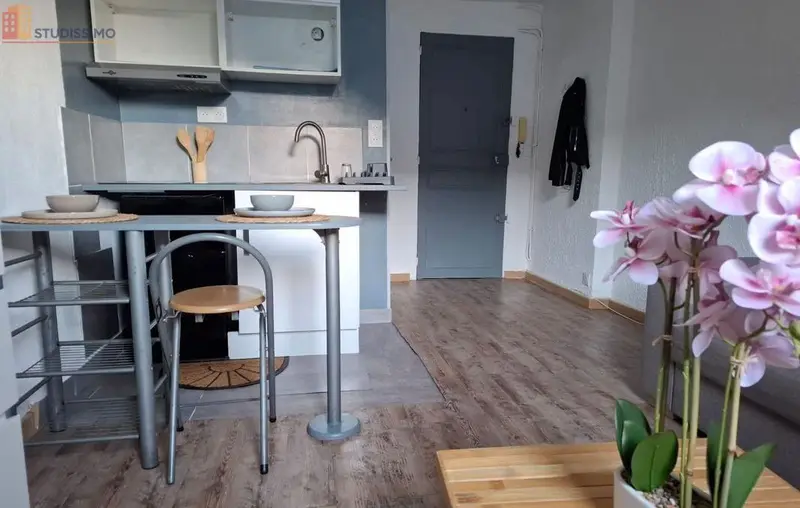 Studio meublé 16m² Nantes 44100 - Lumineux, dernier étage - Photo 5
