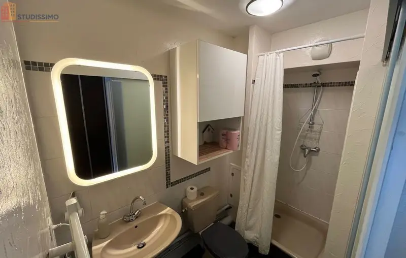 Studio meublé 18m² Saint-Nazaire - Proche Jardin des Plantes - Photo 19