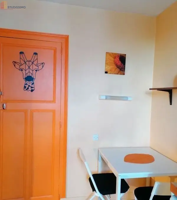 Studio meublé 14m² Nantes 44100 - Meublé, 2e étage - Photo 11