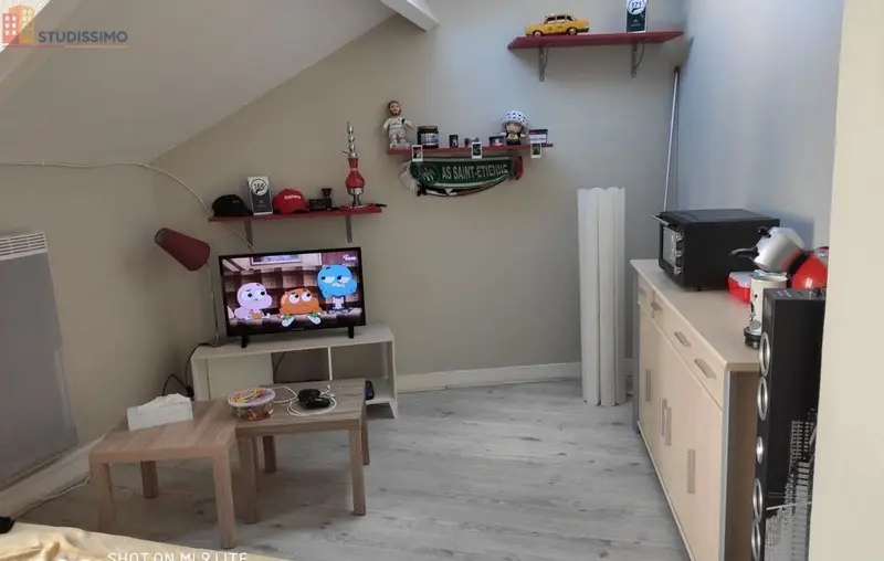 Studio meublé 25m² Orléans centre - Calme, lumineux - Photo 4
