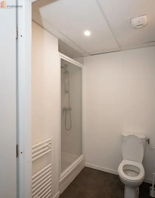 Studio meublé 25m² Nantes Chantenay - Meublé, lumineux - Photo 45