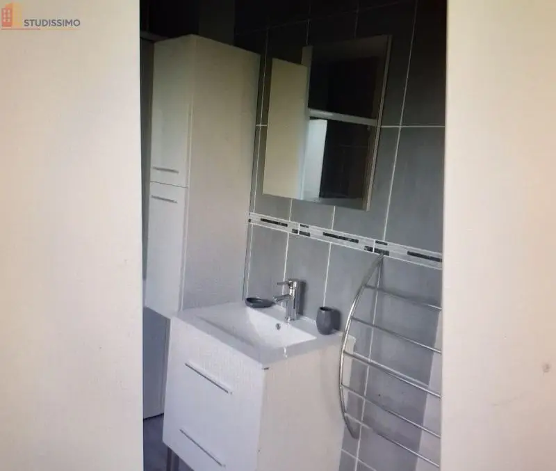 Studio meublé 40m² Dampierre-en-Burly - Meublé, DPE C - Photo 3