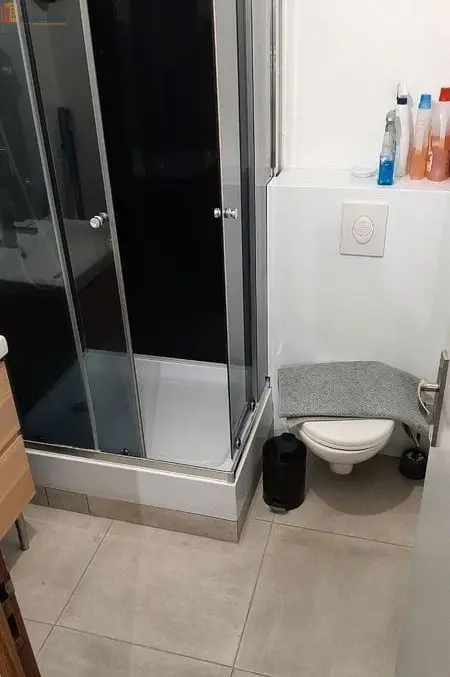 Studio meublé 26m² Châtillon-sur-Loire - Meublé, DPE D - Photo 4