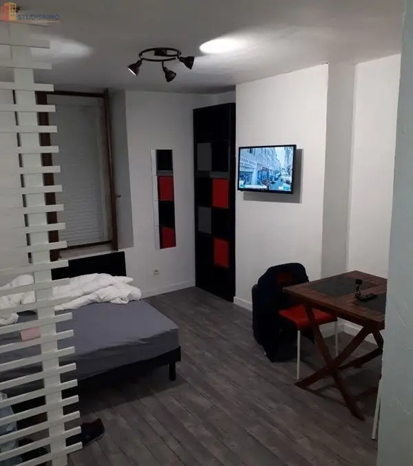 Studio meublé 26m² Châtillon-sur-Loire - Meublé, DPE D - Photo 1