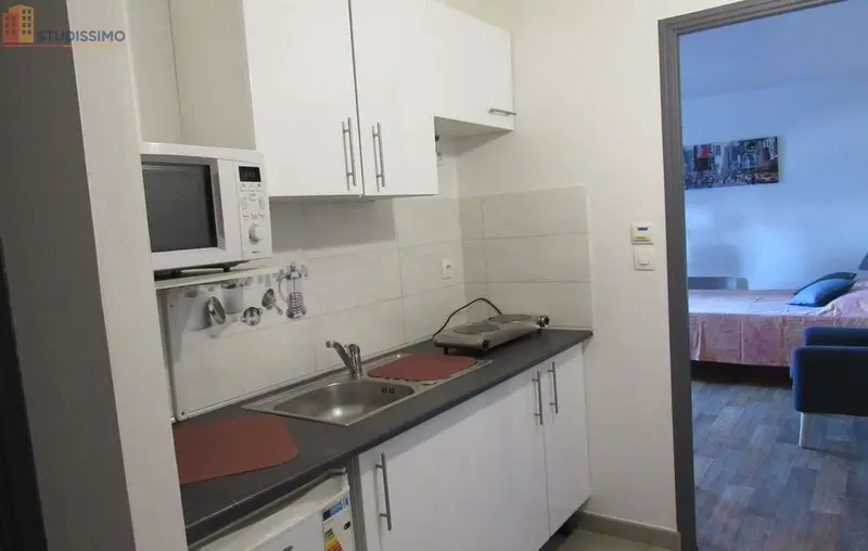 Studio meublé 30m² Bonny-sur-Loire - Meublé, DPE C - Photo 5