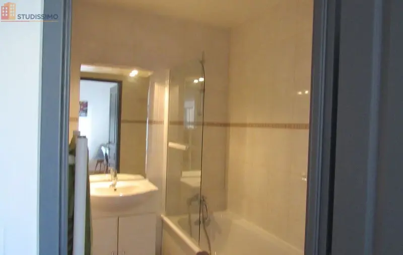 Studio meublé 30m² Bonny-sur-Loire - Meublé, DPE C - Photo 3