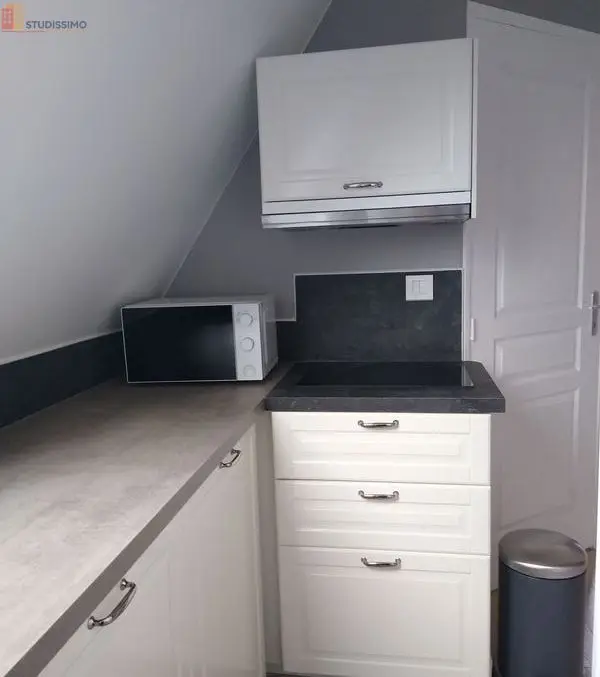 Studio 20m² La Ferté-Saint-Aubin - Calme, sans vis-à-vis - Photo 18