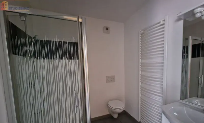 Studio 32m² Nantes 44100 - Idéal étudiant, lumineux - Photo 4