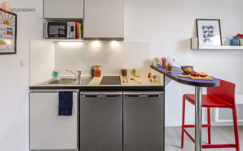 Studio 24m² Angers 49000 - Meublé - Photo 6