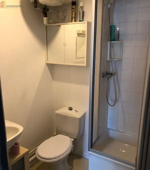 Studio meublé 24m² Nantes 44300 - Lumineux, proche quai - Photo 1