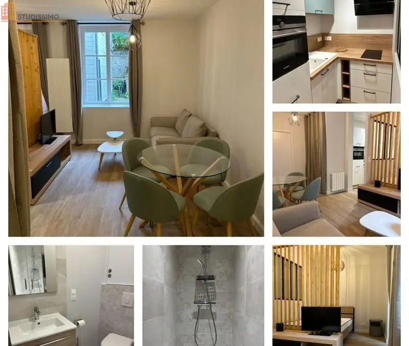 Studio meublé 30m² Orléans centre - Lumineux - Photo 4